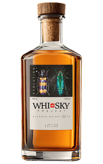 EVOLUTION #1 EMBOUTEILLAGE