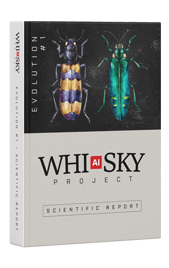 RAPPORT DU PROJET EVOLUTION #1