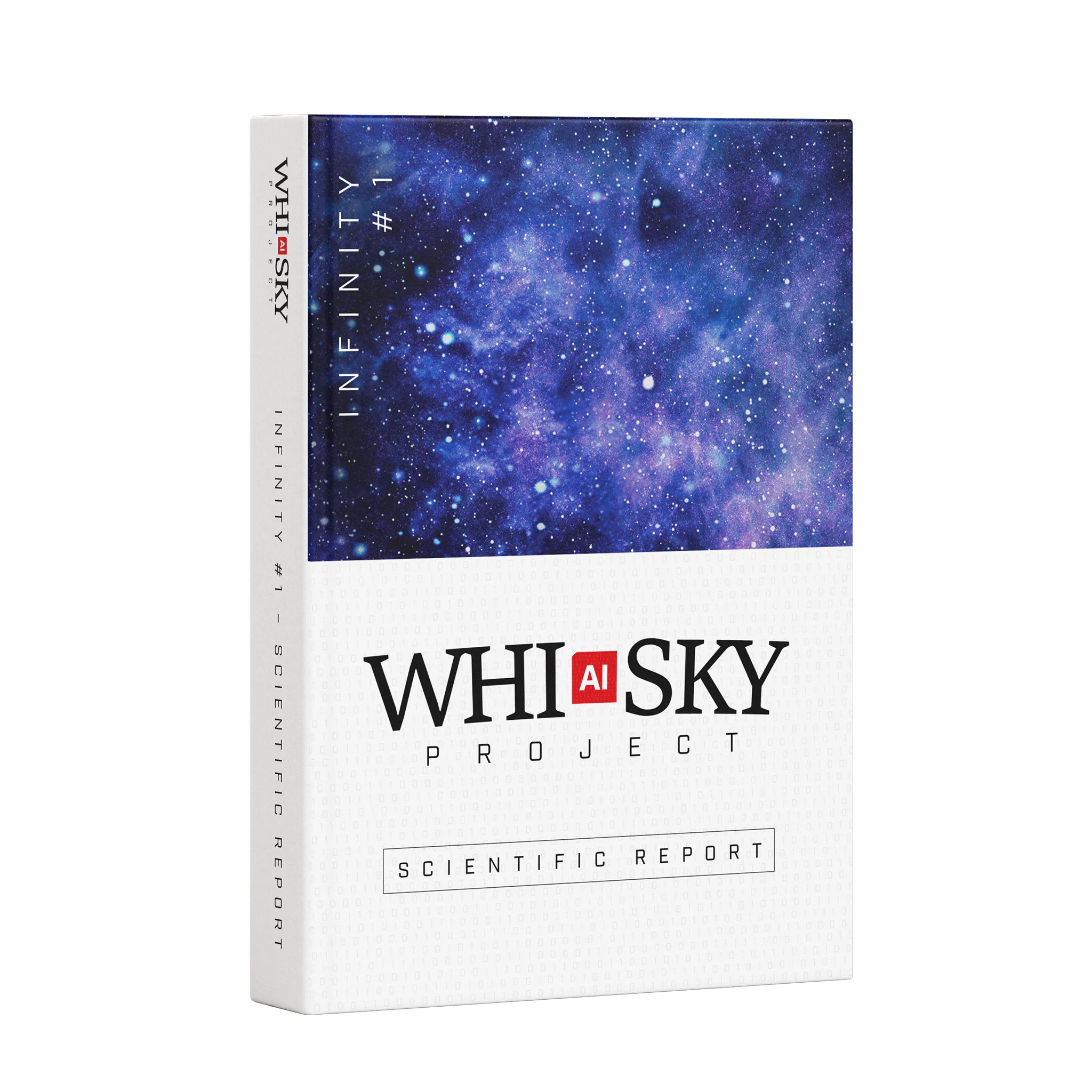 INFINITY #1 PROJECT REPORT