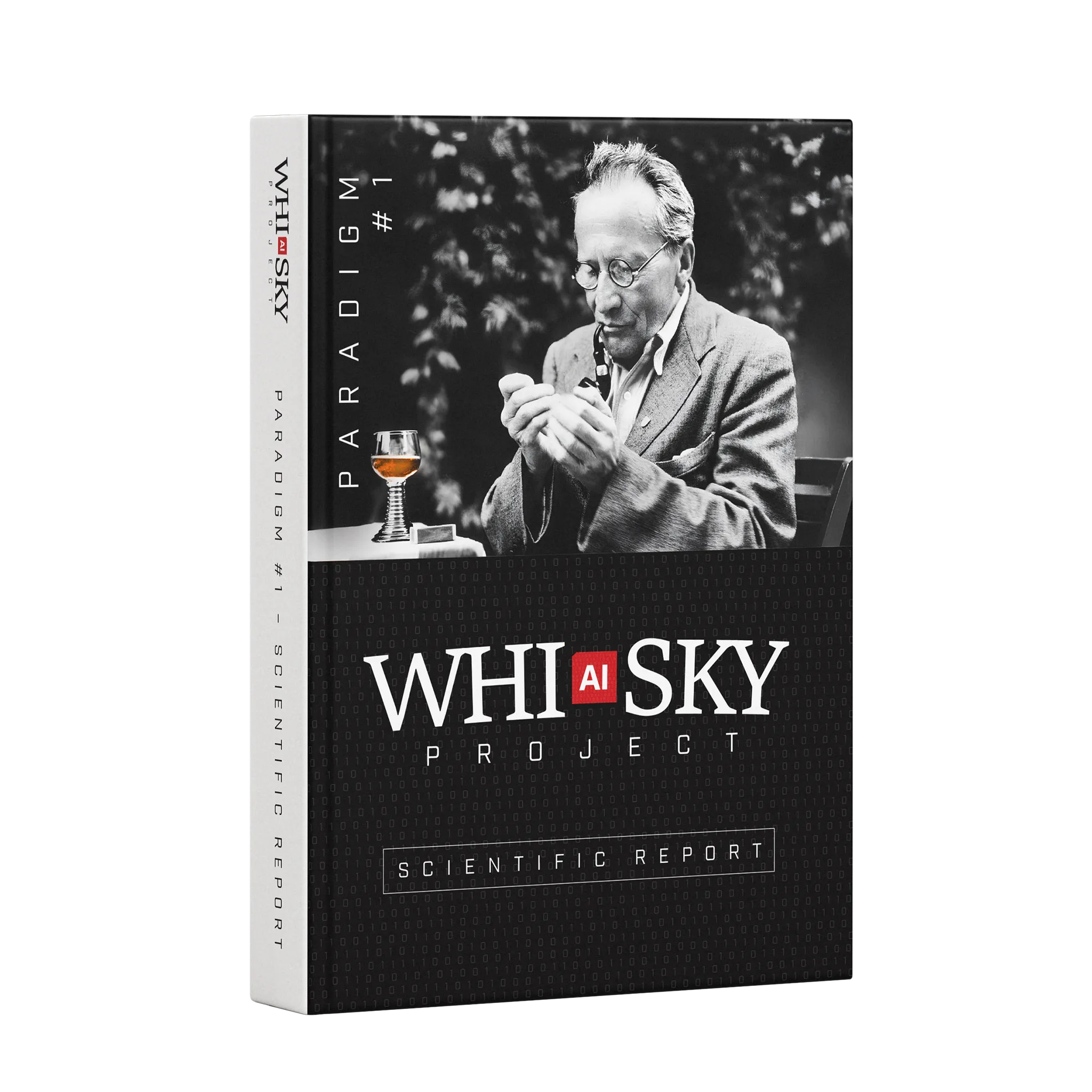 PARADIGM #1 PROJECT REPORT