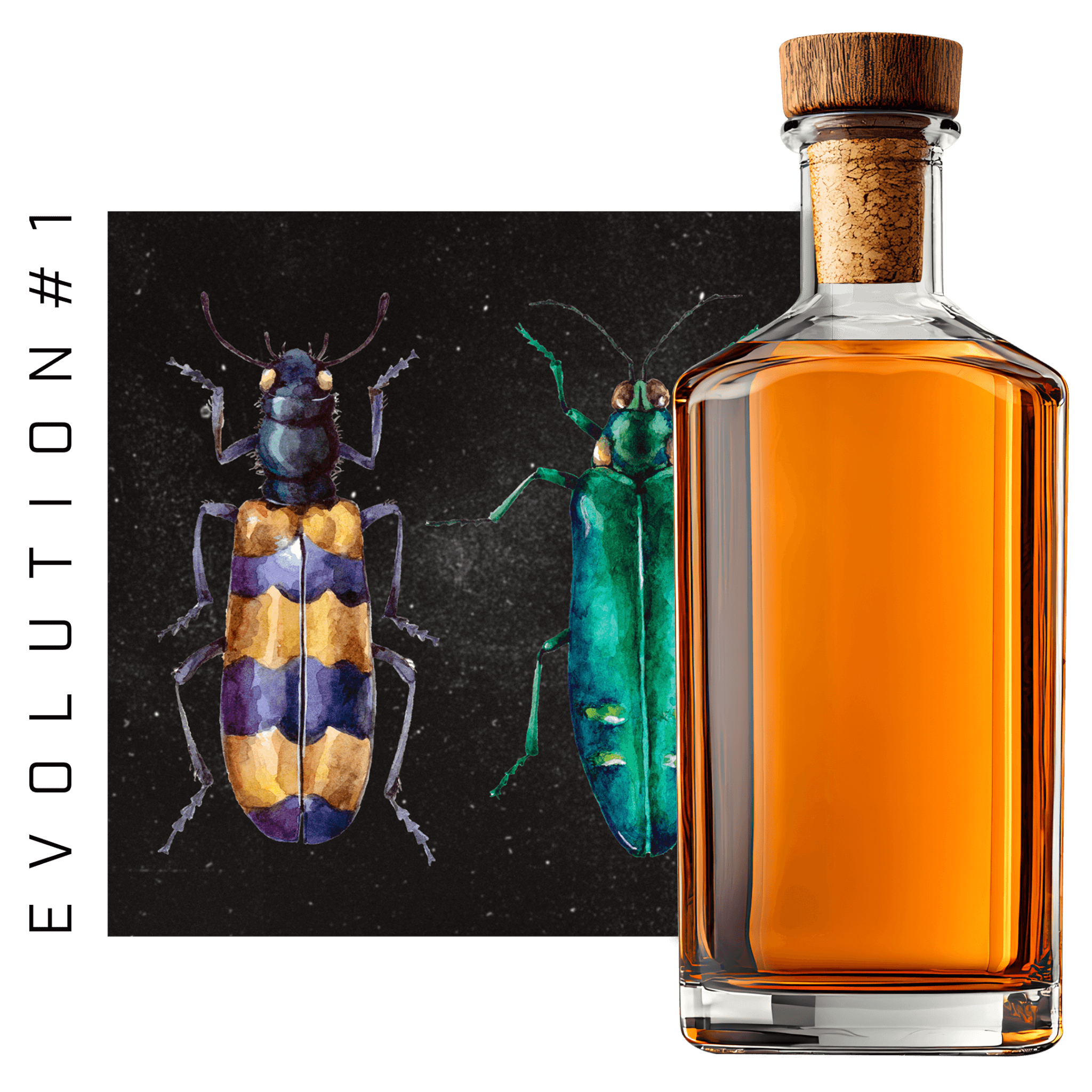 EVOLUTION #1 PROJECT