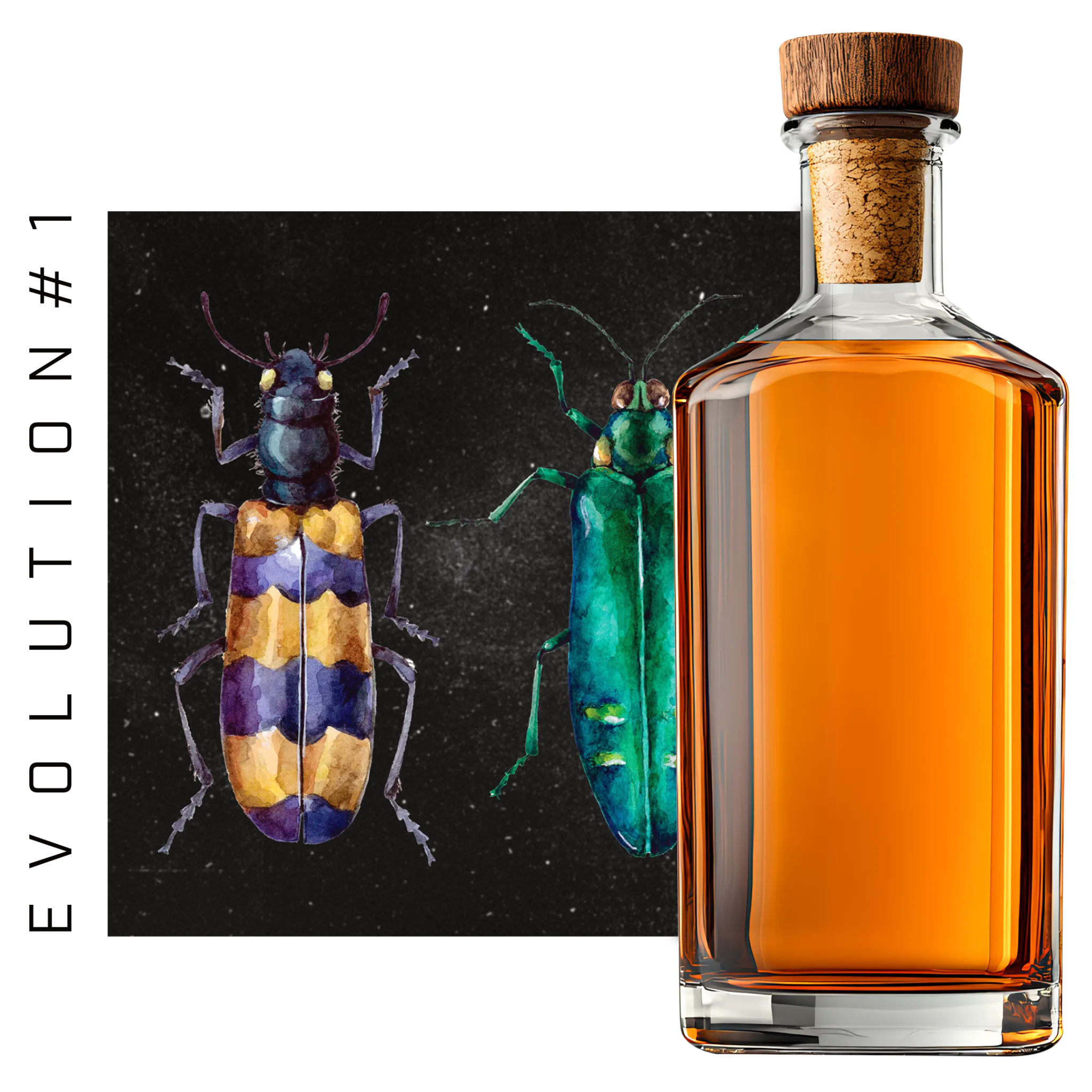 EVOLUTION #1 PROJECT